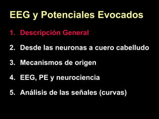 EEG y Potenciales Evocados Descripción General Desde las neuronas a cuero cabelludo Mecanismos de origen EEG, PE y neurociencia Análisis de las señales (curvas) 