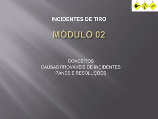 INCIDENTES DE TIRO 
CONCEITOS 
CAUSAS PROVÁVEIS DE INCIDENTES 
PANES E RESOLUÇÕES 
 