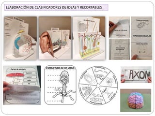 ELABORACIÓN DE CLASIFICADORES DE IDEAS Y RECORTABLES
 