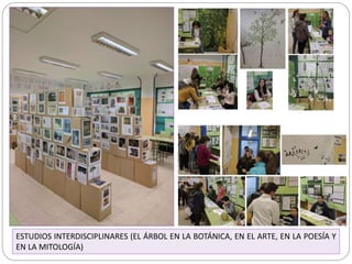 ESTUDIOS INTERDISCIPLINARES (EL ÁRBOL EN LA BOTÁNICA, EN EL ARTE, EN LA POESÍA Y
EN LA MITOLOGÍA)
 