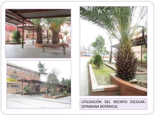 UTILIZACIÓN DEL RECINTO ESCOLAR:
(GYMKANA BOTÁNICA)
 