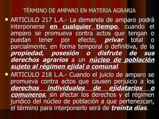 TÉRMINO DE AMPARO EN MATERIA AGRARIA ARTICULO 217 L.A.- La demanda de amparo podrá interponerse  en cualquier tiempo , cuando el amparo se promueva contra actos que tengan o puedan tener por efecto,  privar  total o parcialmente, en forma temporal o definitiva, de la  propiedad, posesión o disfrute de sus derechos agrarios  a un  núcleo de población sujeto al régimen ejidal o comunal . ARTICULO 218 L.A.- Cuando el juicio de amparo se promueva contra actos que causen perjuicio a los  derechos individuales de ejidatarios o comuneros , sin afectar los derechos y el régimen jurídico del núcleo de población a que pertenezcan, el término para interponerlo será de  treinta días . 
