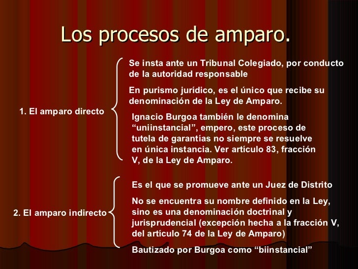 Bases teóricas del juicio de amparo final