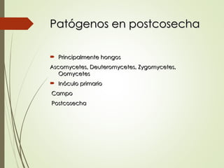 Patógenos en postcosecha
Patógenos en postcosecha
 Principalmente hongos
Principalmente hongos
Ascomycetes, Deuteromycetes, Zygomycetes,
Ascomycetes, Deuteromycetes, Zygomycetes,
Oomycetes
Oomycetes
 Inóculo primario
Inóculo primario
Campo
Campo
Postcosecha
Postcosecha
 