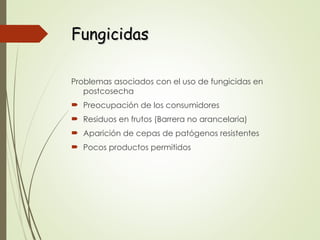 Fungicidas
Fungicidas
Problemas asociados con el uso de fungicidas en
postcosecha
 Preocupación de los consumidores
 Residuos en frutos (Barrera no arancelaria)
 Aparición de cepas de patógenos resistentes
 Pocos productos permitidos
 