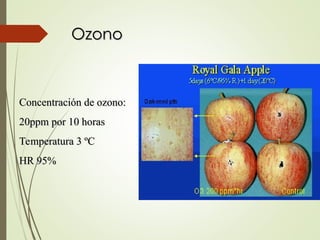 Ozono
Ozono
Concentración de ozono:
Concentración de ozono:
20ppm por 10 horas
20ppm por 10 horas
Temperatura 3 ºC
Temperatura 3 ºC
HR 95%
HR 95%
 