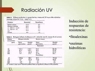 Radiación UV
Radiación UV
Inducción de
Inducción de
respuestas de
respuestas de
resistencia:
resistencia:
•fitoalexinas
fitoalexinas
•enzimas
enzimas
hidrolíticas
hidrolíticas
 