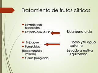 Tratamiento de frutos cítricos
Tratamiento de frutos cítricos
 Lavado con
Lavado con
hipoclorito
hipoclorito
 Lavado con SOPP.
Lavado con SOPP.
 Enjuague
Enjuague
 Fungicidas
Fungicidas
(Tiabendazol o
(Tiabendazol o
imazalil)
imazalil)
 Ceras (Fungicida)
Ceras (Fungicida)
Bicarbonato de
Bicarbonato de
sodio y/o agua
sodio y/o agua
caliente
caliente
Levadura nativa
Levadura nativa
+quitosano
+quitosano
 