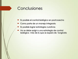 Conclusiones
Conclusiones
 Es posible el control biológico en postcosecha
Es posible el control biológico en postcosecha
 Como parte de un manejo integrado
Como parte de un manejo integrado
 Es posible lograr estrategias curativas
Es posible lograr estrategias curativas
 No se debe exigir a una estrategia de control
No se debe exigir a una estrategia de control
biológico más de lo que se espera de fungicida
biológico más de lo que se espera de fungicida
 