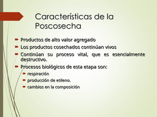 Características de la
Características de la
Poscosecha
Poscosecha
 Productos de alto valor agregado
Productos de alto valor agregado
 Los productos cosechados continúan vivos
Los productos cosechados continúan vivos
 Continúan su proceso vital, que es esencialmente
Continúan su proceso vital, que es esencialmente
destructivo.
destructivo.
 Procesos biológicos de esta etapa son:
Procesos biológicos de esta etapa son:
 respiración
respiración
 producción de etileno.
producción de etileno.
 cambios en la composición
cambios en la composición
 