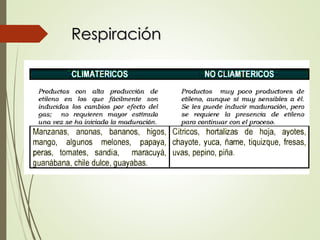 Respiración
Respiración
 