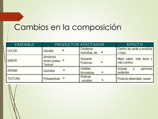 Cambios en la composición
 
