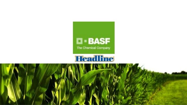 Basf Headline Rebate Program