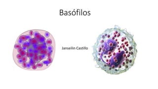 Basófilos
Janseilin Castillo
 