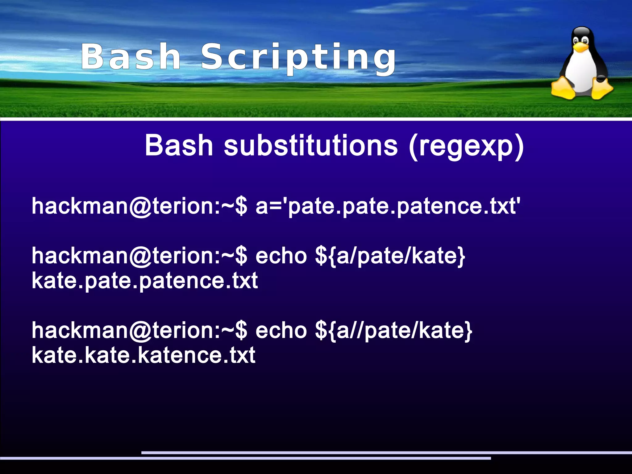 Bash Scripting
Bash substitutions (front)
hackman@terion:~$ a='grizzly.yuhu.biz'
hackman@terion:~$ echo ${a#*.}
yuhu.biz
hackman@terion:~$ echo ${a##*.}
biz
 