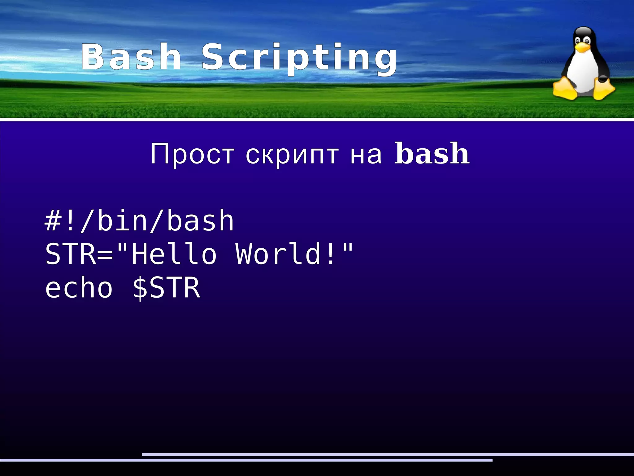 Bash Scripting
Прост скрипт на bash
#!/bin/bash
STR="Hello World!"
echo $STR
 