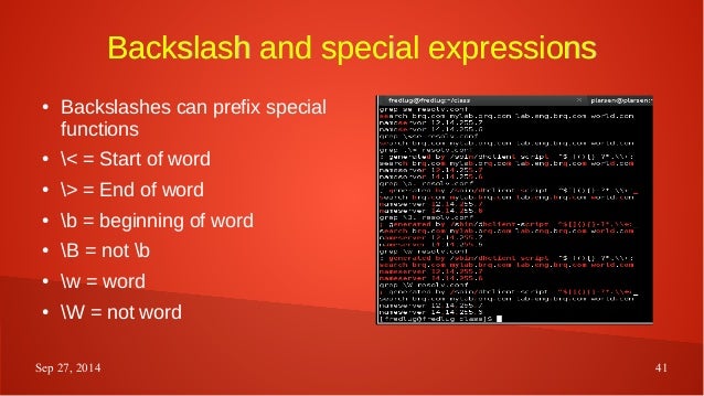 bash regex