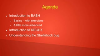 Agenda
 Introduction to BASH
 Basics – with exercises
 A little more advanced
 Introduction to REGEX
 Understanding the Shellshock bug
 
