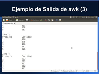 Ejemplo de Salida de awk (1) 