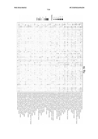 Parbendazole For Use In The Treatment Of Dementia - PCT