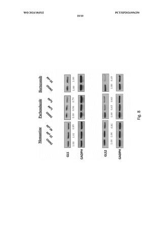 Parbendazole For Use In The Treatment Of Dementia - PCT