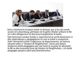 Selia e Komisionit Evropian është ne Bruksel, por ai ka një numër
zyrash në Luksemburg, përfaqësi në të gjitha shtetet anëtare të BE-
se si dhe delegacione në disa prej kryeqyteteve të botës.
Vete Komisioni vendos fushën e veprimtarisë të secilit komisioner si
dhe shpërndarjen e përgjegjësive në rast se është e nevojshme.
Stafi i Komisionit është i organizuar në departamente, të njohura
ndryshe edhe si “Drejtori të Përgjithshme”. Secila prej këtyre
drejtorive është përgjegjëse për një fushë të veçante të aktivitetit
të BE-se dhe kryesohet prej një Drejtori të Përgjithshëm, i cili është
përgjegjës përpara njërit prej komisionarëve.
 