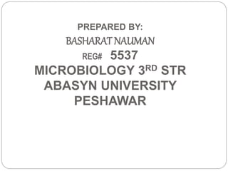 PREPARED BY:
BASHARAT NAUMAN
REG# 5537
MICROBIOLOGY 3RD STR
ABASYN UNIVERSITY
PESHAWAR
 