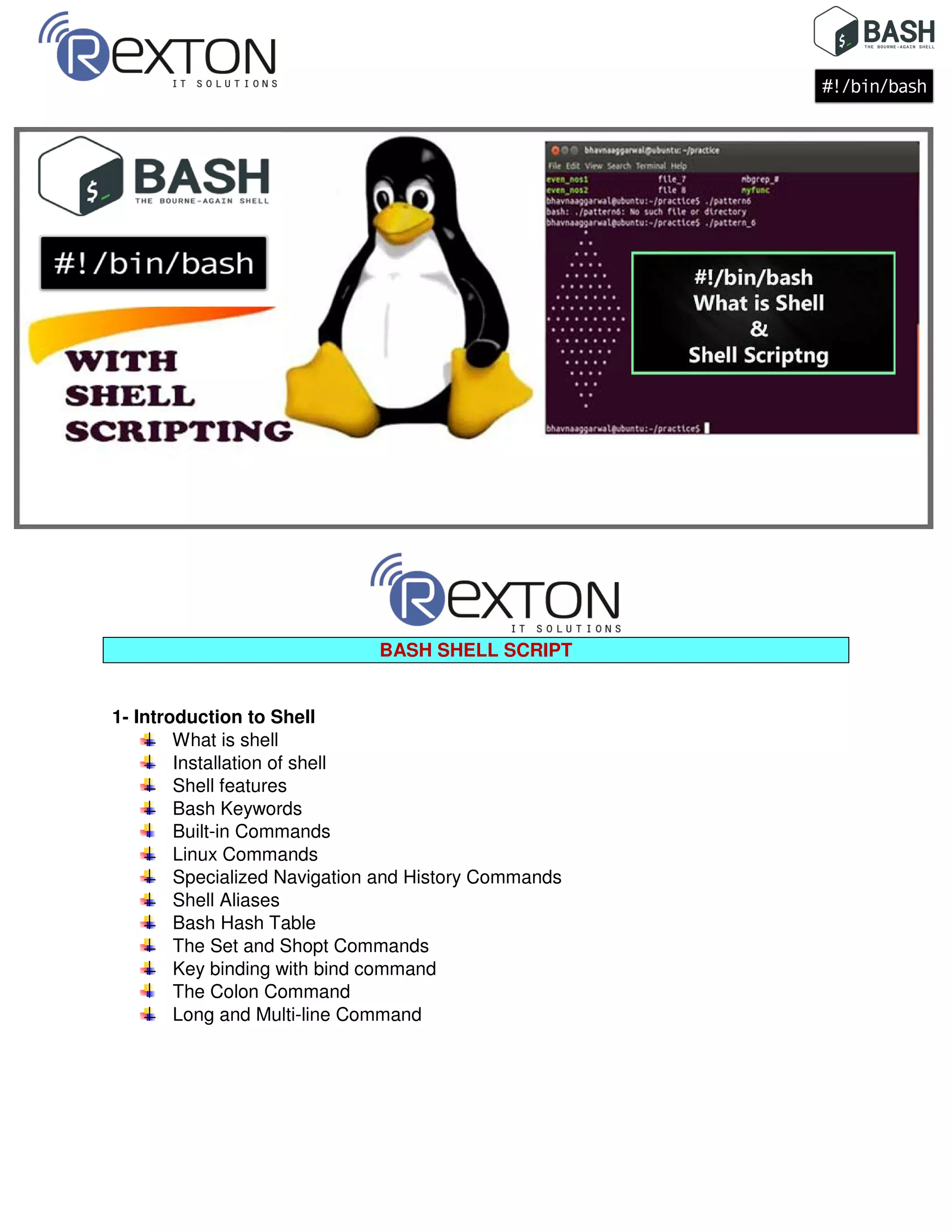 BASH Shell Script Training in Noida- Rexton It Solution | PDF