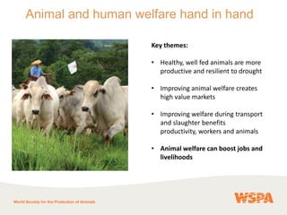The Benefits of Farm Animal Welfare for Sustainable Food Production | PPTX