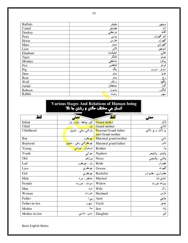 Basic English to Sindhi Dictionary