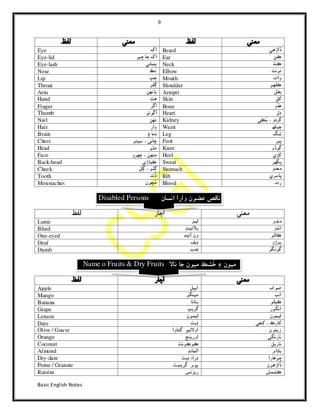 Basic English to Sindhi Dictionary