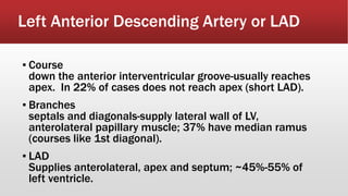 Left Anterior Descending Artery or LAD
▪ Course
down the anterior interventricular groove-usually reaches
apex. In 22% of cases does not reach apex (short LAD).
▪ Branches
septals and diagonals-supply lateral wall of LV,
anterolateral papillary muscle; 37% have median ramus
(courses like 1st diagonal).
▪ LAD
Supplies anterolateral, apex and septum; ~45%-55% of
left ventricle.
 