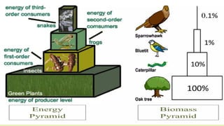 BASIC-ECOLOGY-PRINCIPLES-AND-CONCEPTS..pdf