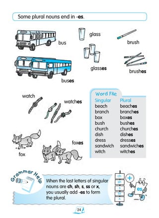 24
Gr
ammar H
elp
Some plural nouns end in -es.
When the last letters of singular
nouns are ch, sh, s, ss or x,
you usually add -es to form
the plural.
buses
fox
brushes
brushbus	
foxes
Word File
Singular	 Plural
beach 	 beaches
branch	 branches
box	 boxes	
bush	 bushes
church	 churches
dish	 dishes
dress	 dresses
sandwich	 sandwiches
witch	 witches
watches
watch
glass
glasses
+ch
sh
s
ss
x
es
 