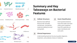 Basic-Features-of-Bacteria-and-Their-Functions(2).pptx