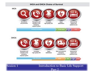 Session 1 Introduction to Basic Life Support
Part 2
 