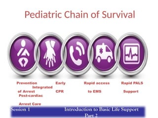 Pediatric Chain of Survival
Prevention Early Rapid access Rapid PALS
Integrated
of Arrest CPR to EMS Support
Post-cardiac
Arrest Care
Session 1 Introduction to Basic Life Support
Part 2
 