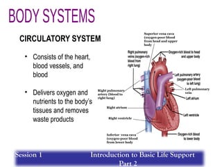 • Consists of the heart,
blood vessels, and
blood
• Delivers oxygen and
nutrients to the body’s
tissues and removes
waste products Right ventricle
Right atrium
Right pulmonary
artery (blood to
right lung)
Superior vena cava
(oxygen-poor blood
from head and upper
body
Inferior vena cava
(oxygen-poor blood
from lower body
Left pulmonary
vein
CIRCULATORY SYSTEM
Session 1 Introduction to Basic Life Support
Part 2
 