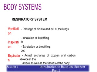 Ventilati
on
Inspirati
on
Expiratio
n
Respirati
- Passage of air into and out of the lungs
- Inhalation or breathing
in
- Exhalation or breathing
out
- Actual exchange of oxygen and carbon
dioxide in the
alveoli as well as the tissues of the body
RESPIRATORY SYSTEM
Session 1 Introduction to Basic Life Support
Part 2
 