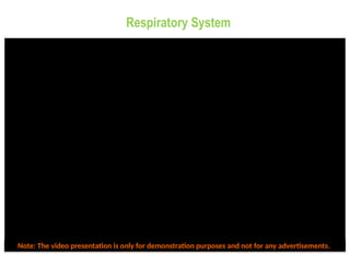 Note: The video presentation is only for demonstration purposes and not for any advertisements.
Respiratory System
 