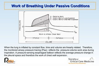 Work of Breathing Under Passive Conditions When the lung is inflated by constant flow, time and volume are linearly related.  Therefore, the monitored airway pressure tracing (Paw)  reflects the  pressure-volume work area during inspiration. A pressure-sensing esophageal balloon reflects the average pressure change in the pleural space and therefore the work of chest wall expansion. 