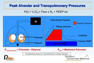 Peak Alveolar and Transpulmonary Pressures P(t)  = V T /C R + F l ow x R R  + PEEP tot meanPaw External PEEP Intrinsic  PEEP Plateau pressure  Peak Airway Pressure Palveolar Ppleural P transpulmonary  = Palveolar - Ppleural P plat  = Maximum Palveolar Alveolar Pressure Transpulmonary pressure is a key determinant of  alveolar distension. + _ _ _ _ _ + + + + 