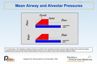 Mean Airway and Alveolar Pressures Adapted from: Ravenscraft et al. Crit Care Med. 1992. In normal lungs,  the inspiratory resistive pressure is similar to the expiratory resistive pressure (light shaded area under the airway pressure-time curve) so that mean airway pressure (Paw) can be used to track mean alveolar pressure (Palv).  