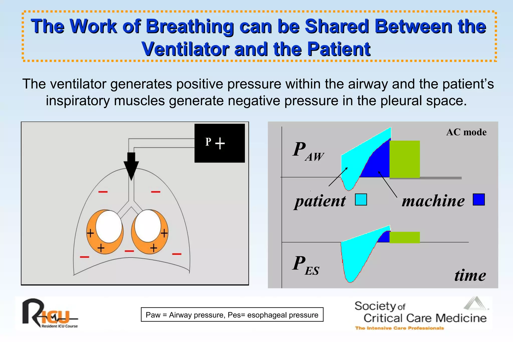 The Work of Breathing can be Shared Between theThe Work of Breathing can be Shared Between the
Ventilator and the PatientVentilator and the Patient
PAW
PES
patient machine
time
AC mode
The ventilator generates positive pressure within the airway and the patient’s
inspiratory muscles generate negative pressure in the pleural space.
Paw = Airway pressure, Pes= esophageal pressure
 