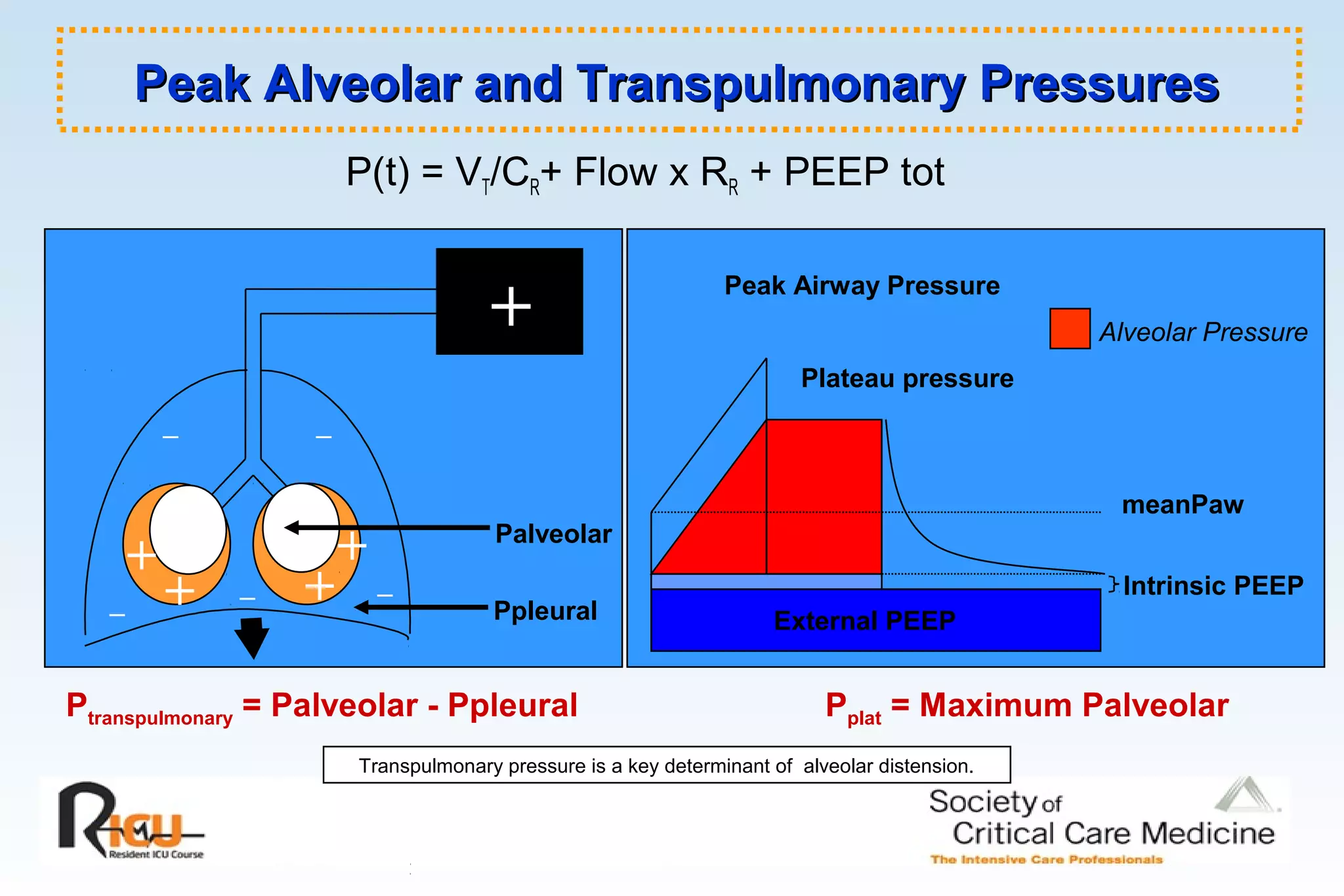 Peak Alveolar and Transpulmonary PressuresPeak Alveolar and Transpulmonary Pressures
P(t) = VT/CR+ Flow x RR + PEEP tot
meanPaw
External PEEP
Intrinsic PEEP
Plateau pressure
Peak Airway Pressure
+
_
_ _
_ _
+
+
+
+ Palveolar
Ppleural
Ptranspulmonary = Palveolar - Ppleural Pplat = Maximum Palveolar
Alveolar Pressure
Transpulmonary pressure is a key determinant of alveolar distension.
 