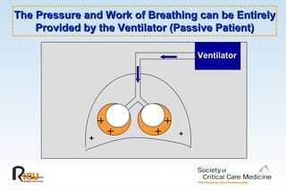 +
+
+
+
The Pressure and Work of Breathing can be EntirelyThe Pressure and Work of Breathing can be Entirely
Provided by the Ventilator (Passive Patient)Provided by the Ventilator (Passive Patient)
Ventilator
₊ ₊
 