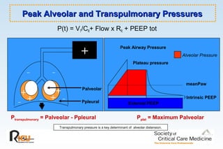 Peak Alveolar and Transpulmonary PressuresPeak Alveolar and Transpulmonary Pressures
P(t) = VT/CR+ Flow x RR + PEEP tot
meanPaw
External PEEP
Intrinsic PEEP
Plateau pressure
Peak Airway Pressure
+
_
_ _
_ _
+
+
+
+ Palveolar
Ppleural
Ptranspulmonary = Palveolar - Ppleural Pplat = Maximum Palveolar
Alveolar Pressure
Transpulmonary pressure is a key determinant of alveolar distension.
 