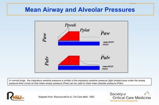 Mean Airway and Alveolar Pressures
Adapted from: Ravenscraft et al. Crit Care Med. 1992.
In normal lungs, the inspiratory resistive pressure is similar to the expiratory resistive pressure (light shaded area under the airway
pressure-time curve) so that mean airway pressure (Paw) can be used to track mean alveolar pressure (Palv).
 