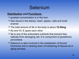 Basic-Nutrition_Minerals-2.ppt different | PPT