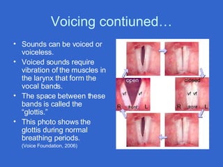 Basic Phonetics for Teachers | PPT